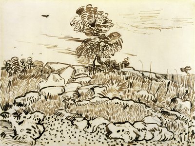 Terreno rocoso en Montmajour, 1888-89 de Vincent van Gogh